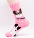 Papillon Socks Dog Breed Foozy Novelty Socks