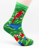 Parrots Bird Novelty Socks