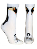Penguin and Chick Dog Breed Novelty Socks Medium