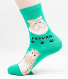 Persian Socks Cat Breed Foozy Novelty Socks