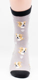 Pit Bull Dog Breed Novelty Socks