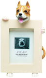 Pit Bull Tan Dog Picture Frame Holder