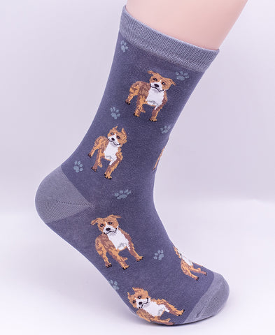 Pit Bull Dog Breed Novelty Socks