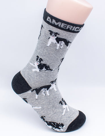 Pit Bull Dog Novelty Socks