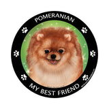 Pomeranian My Best Friend Dog Breed Magnet
