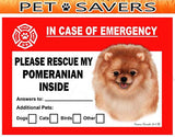 Pomeranian Dog Emergency Window Cling