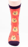 Pomeranian Dog Breed Novelty Socks