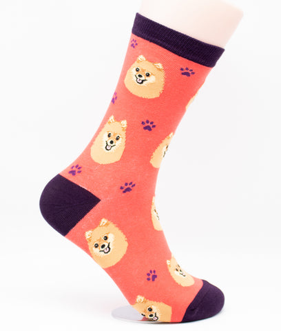 Pomeranian Dog Breed Novelty Socks