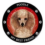 Poodle Apricot My Best Friend Dog Breed Magnet