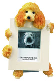 Poodle Apricot Dog Picture Frame Holder