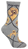 Poodle Apricot Dog Breed Novelty Socks Gray