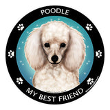 Poodle White My Best Friend Dog Breed Magnet