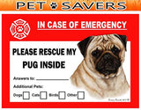 Pug Dog Emergency Window Cling