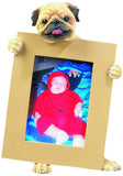 Pug Fawn Dog Holding Picture Frame