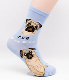Pug Socks Dog Breed Foozy Novelty Socks
