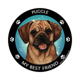 Puggle My Best Friend Dog Breed Magnet