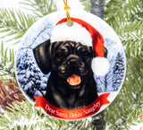 Puggle Assorted Howliday Dog Christmas Ornament