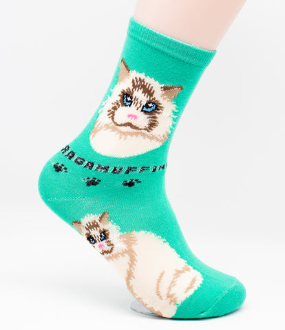 Ragamuffin Socks Cat Breed Foozy Novelty Socks