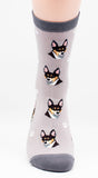 Rat Terrier Dog Breed Novelty Socks
