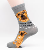 Rhodesian Ridgeback Socks Dog Breed Foozy Novelty Socks