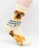 Rhodesian Ridgeback Socks Dog Breed Foozy Novelty Socks