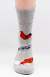 Rooster Chicken Bird Dog Breed Novelty Socks
