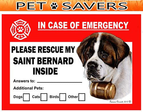 Saint Bernard Dog Emergency Window Cling