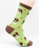 Saint Bernard Dog Breed Novelty Socks