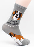 Saint Bernard Socks Dog Breed Foozy Novelty Socks