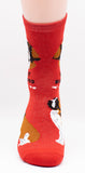 Saint Bernard Socks Dog Breed Foozy Novelty Socks