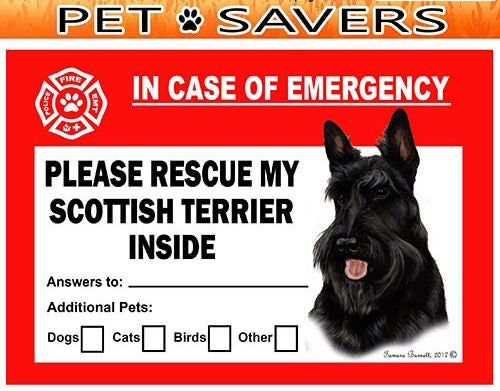 Scottish Terrier Dog Emergency Window Cling