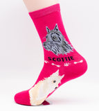 Scottish Terrier Scottie Socks Dog Breed Foozy Novelty Socks