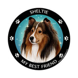 Sheltie My Best Friend Dog Breed Magnet