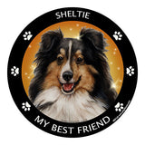 Sheltie Tri Color My Best Friend Dog Breed Magnet