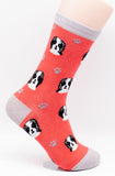Shih Tzu Black Puppy Dog Breed Novelty Socks