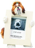 Shih Tzu Tan Dog Picture Frame Holder