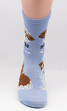 Shih Tzu Dog Breed Foozy Novelty Socks