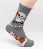 Shih Tzu Dog Breed Foozy Novelty Socks