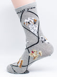 Shih Tzu Dog Breed Novelty Socks Gray