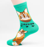 Siberian Socks Cat Breed Foozy Novelty Socks
