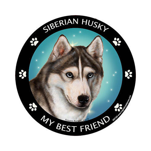 Siberian Husky My Best Friend Dog Breed Magnet