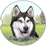 Siberian Husky Sandstone Absorbent Dog Breed Car Coaster