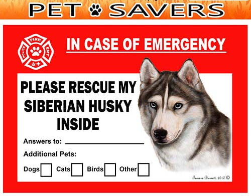 Siberian Husky Dog Emergency Window Cling