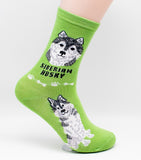 Siberian Husky Socks Dog Breed Foozy Novelty Socks