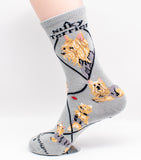 Silky Terrier Dog Breed Novelty Socks Gray