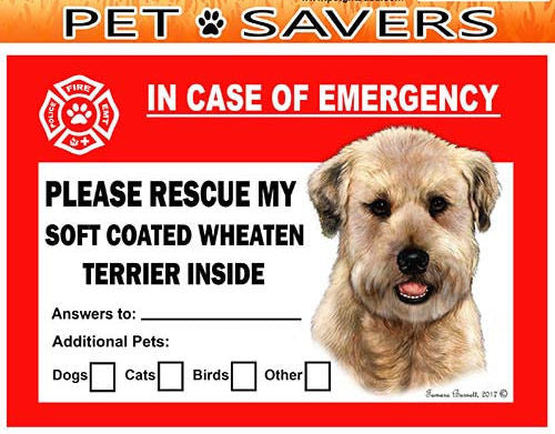Soft Coated Wheaten Terrier Dog Emergency Window Cling