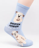 Soft Coated Wheaten Socks Dog Breed Foozy Novelty Socks