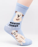 Soft Coated Wheaten Socks Dog Breed Foozy Novelty Socks