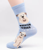 Soft Coated Wheaten Socks Dog Breed Foozy Novelty Socks