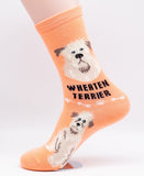 Soft Coated Wheaten Socks Dog Breed Foozy Novelty Socks